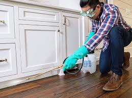 Best Real Estate Pest Inspections  in Safford, AZ